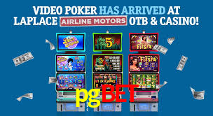 pgbot bet
