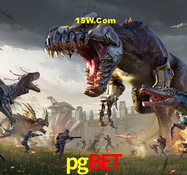 Provedores de Jogos pgbet