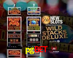 Premium Interface pgbet